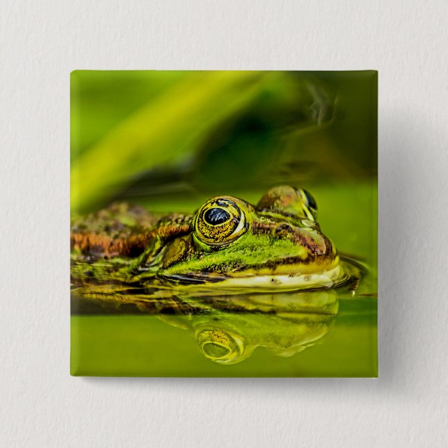 Badge Carré 5 Cm grenouille à eau (Devant)