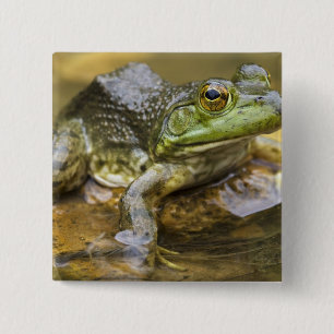 Badge Carré 5 Cm Grenouille le long de la rivière Buffalo, Mile 126