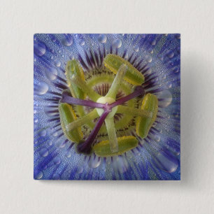 Badge Carré 5 Cm Gros plan de fleur de la passion couverte de rosée