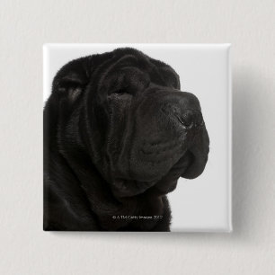 Badge Carré 5 Cm Gros plan de Shar Pei (1 an)