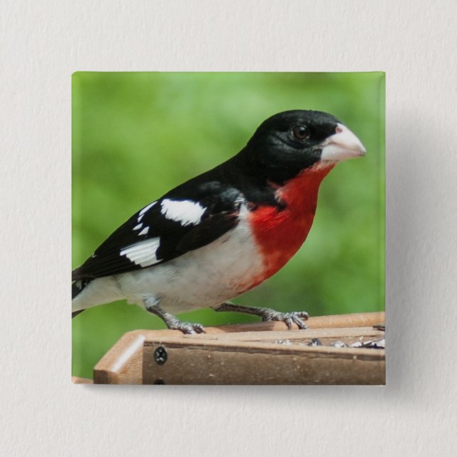 Badge Carré 5 Cm Grosbeak à poitrine rose (Devant)