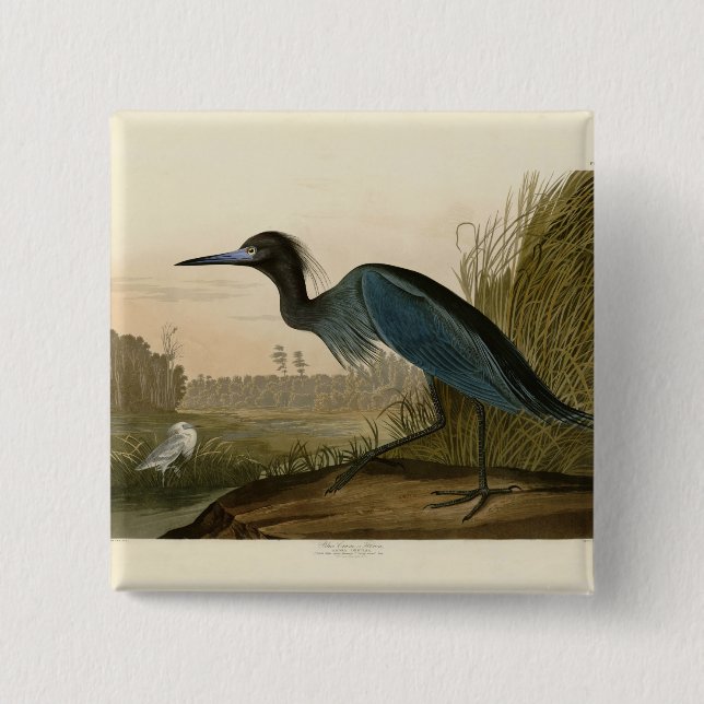 Badge Carré 5 Cm Grue Bleue Heron Audubon Peinture (Devant)
