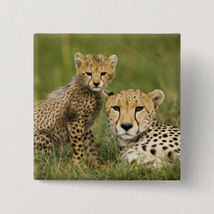 Badge Carré 5 Cm Guépard, Acinonyx jubatus, avec un petit