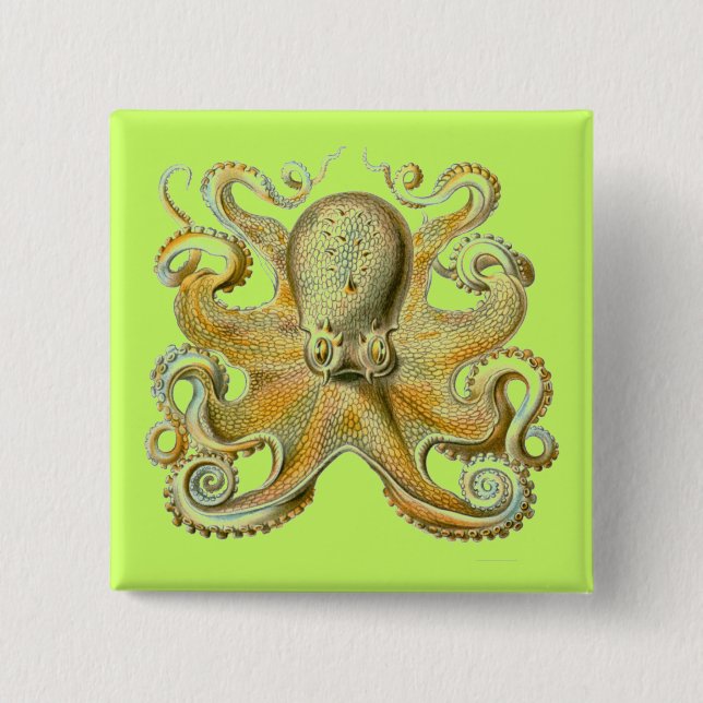 Badge Carré 5 Cm Haeckel Octopus (Devant)