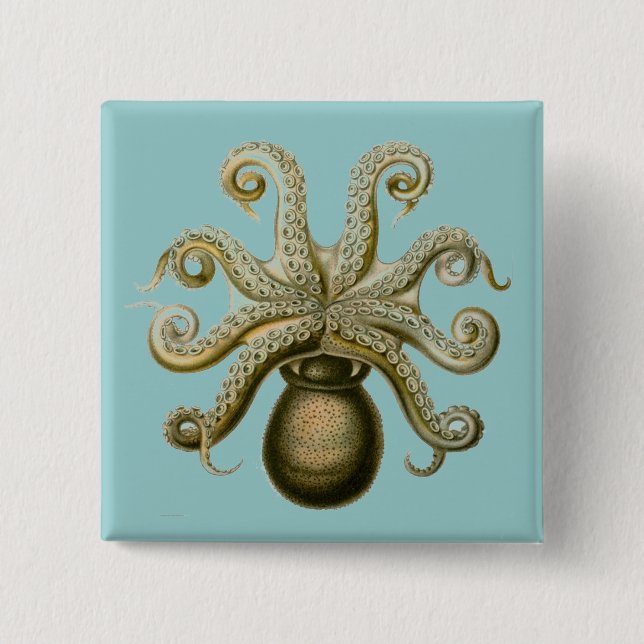 Badge Carré 5 Cm Haeckel Octopus (Devant)