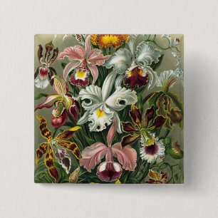 Badge Carré 5 Cm Haeckel Orchids