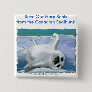 BADGE CARRÉ 5 CM HARP SEAL BÉBÉ
