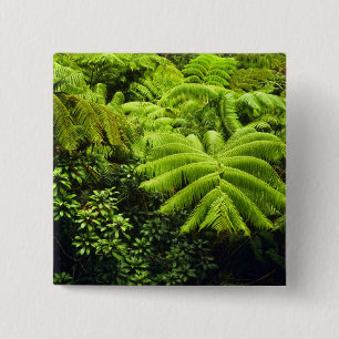 Badge Carré 5 Cm Hawaï, Big Island, Une végétation tropicale lux