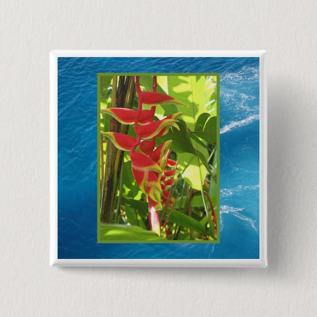 Badge Carré 5 Cm Heliconia rostrata (Devant)