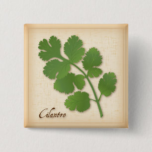 Badge Carré 5 Cm Herbe Cilantro