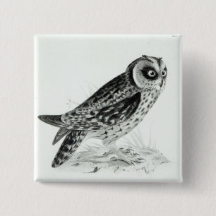 Badge Carré 5 Cm Hibou