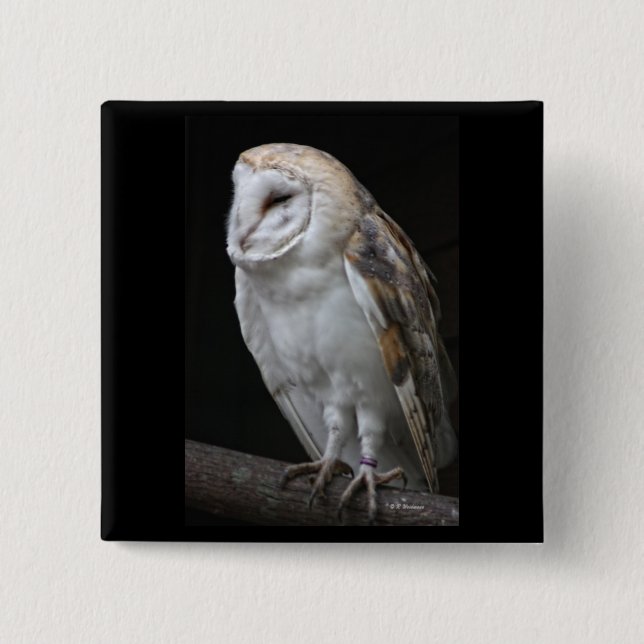 Badge Carré 5 Cm Hibou de grange (Devant)