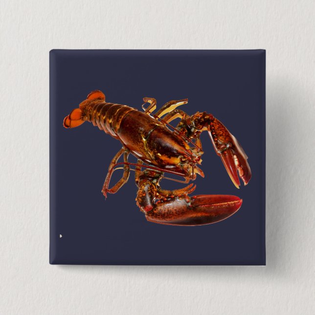 Badge Carré 5 Cm Homard (Devant)