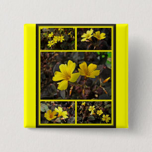 Badge Carré 5 Cm Houseplant à fleurs jaunes d'Oxalis