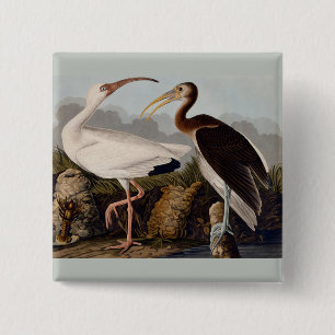 Badge Carré 5 Cm Ibis blanc Audubon