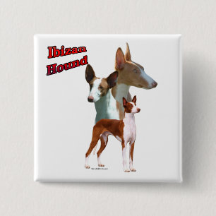Badge Carré 5 Cm Ibizan Hound Trio 2 - Bouton