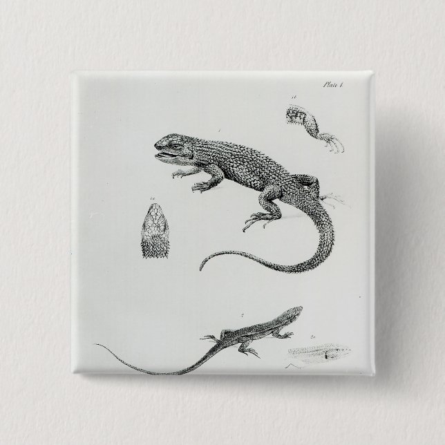 Badge Carré 5 Cm Iguane décalé (Devant)