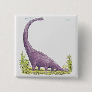 Badge Carré 5 Cm Illustration de dinosaure de Giraffatitan