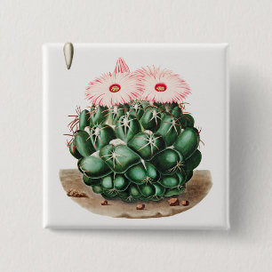 Badge Carré 5 Cm Illustration de la fleur de cactus à dents de l'él