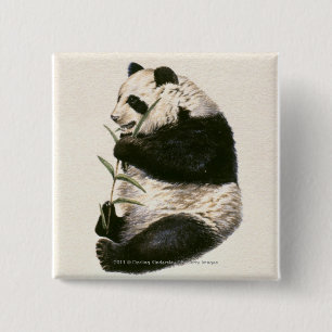 Badge Carré 5 Cm Illustration de panda géant alimentant sur le