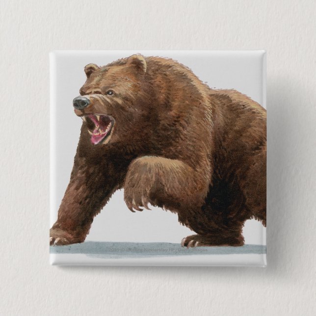 Badge Carré 5 Cm Illustration d'un ours Brown (Devant)