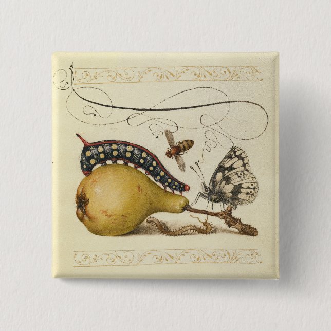 Badge Carré 5 Cm Illustration Papillon Abeille Fruit Insecte (Devant)