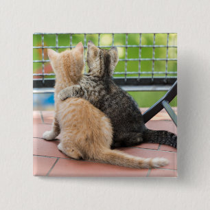 Badge Carré 5 Cm Images de Getty deux chatons sur un balcon