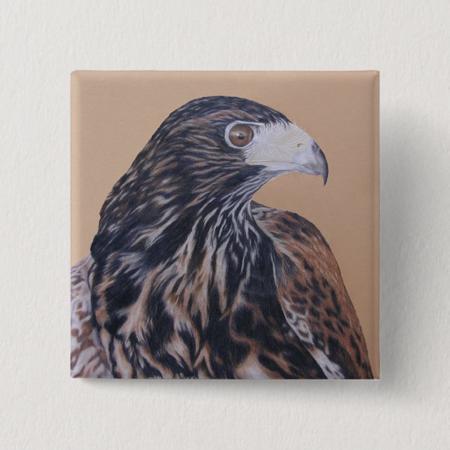 Badge Carré 5 Cm Immature Harris Hawk (Devant)