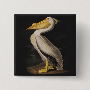Badge Carré 5 Cm Impression de Pélican Blanc d'Audubon