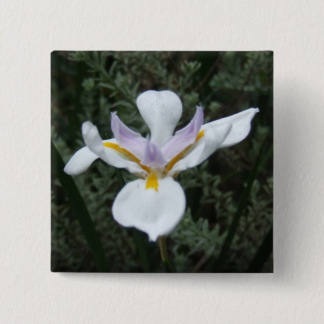 BADGE CARRÉ 5 CM INSIGNE MAUVE DE FLEUR D'IRIS (Devant)