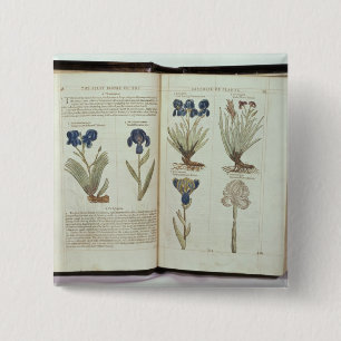 Badge Carré 5 Cm Iris