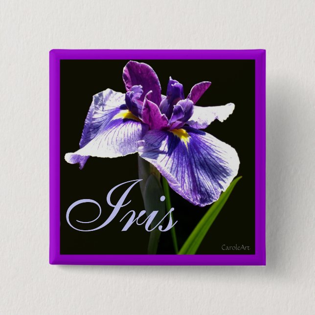 Badge Carré 5 Cm Iris pourpre bleu géant (Devant)