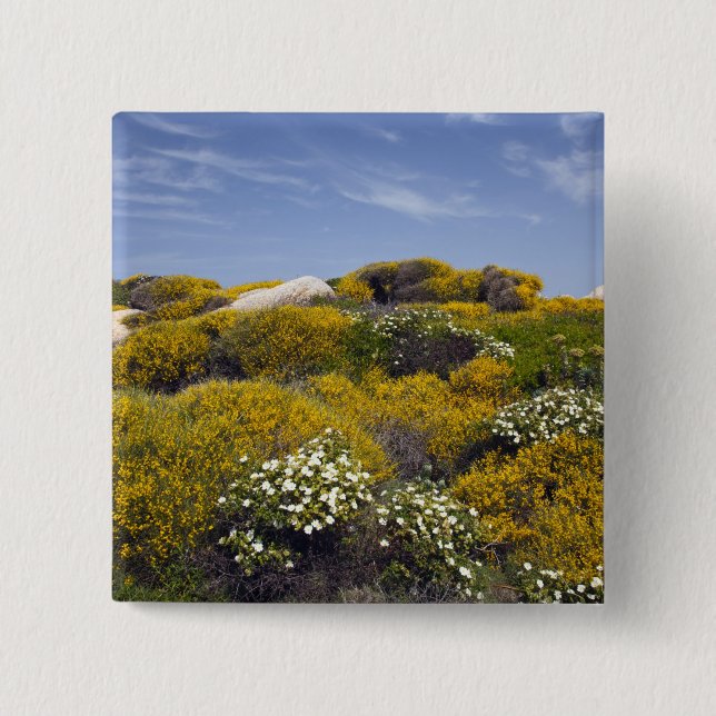 Badge Carré 5 Cm Italie, Sardaigne, Père Noël Teresa Gallura. Capo  (Devant)