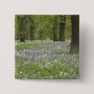 Badge Carré 5 Cm Jacinthes des bois et chênes au printemps, Little