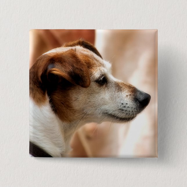 BADGE CARRÉ 5 CM JACK RUSSELL TERRIER CHIEN (Devant)