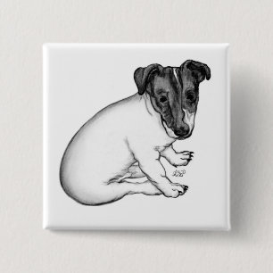 Badge Carré 5 Cm Jack Russell Welpe 10 Wochen alt