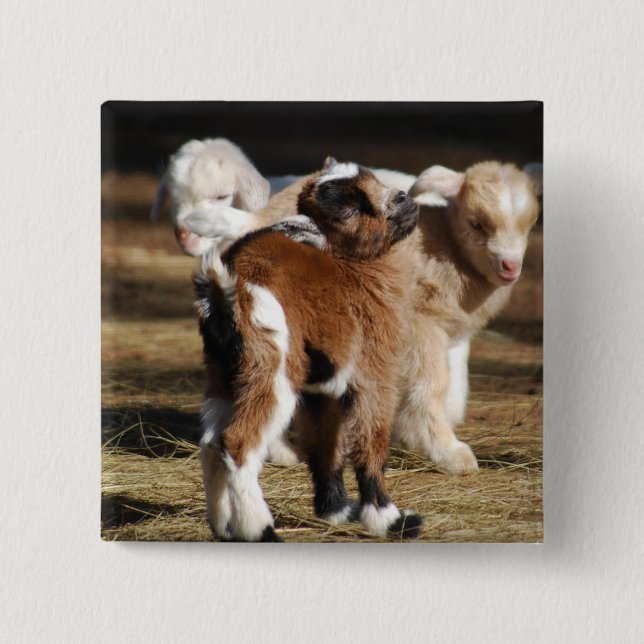 Badge Carré 5 Cm J'aime les enfants (Devant)