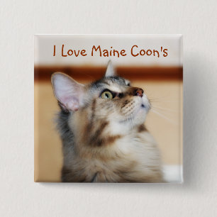 Badge Carré 5 Cm J'aime l'insigne du ragondin du Maine - chaton de