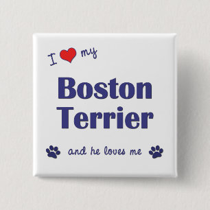 Badge Carré 5 Cm J'aime mon Boston Terrier (le chien masculin)