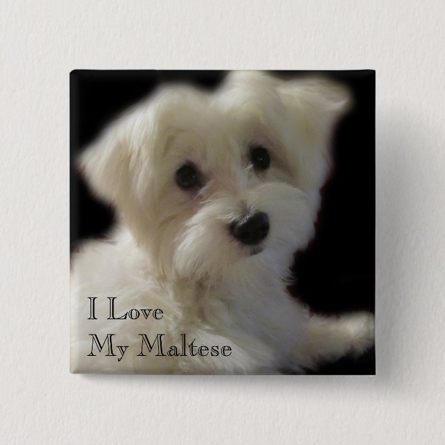 Badge Carré 5 Cm J'aime mon bouton maltais (Devant)