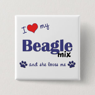 Badge Carré 5 Cm J'aime mon mélange de beagle (le chien femelle)