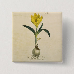 Badge Carré 5 Cm Jardin botanique de tulipe Amaryllis Fleur