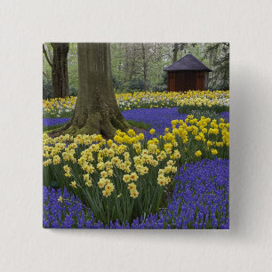 Badge Carré 5 Cm Jardin de jonquilles, muscaris et tulipes,