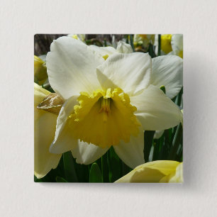 Badge Carré 5 Cm Jaune et blanc Daffodil printemps floral