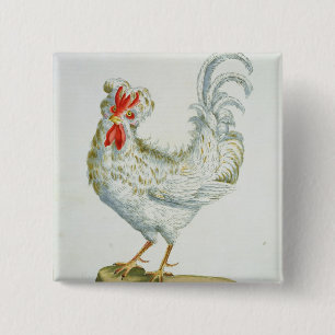Badge Carré 5 Cm Jeune coq Bouclé-Haired, c.1767-76 (en colorée p