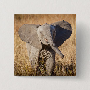 Badge Carré 5 Cm Jeune éléphant de savane