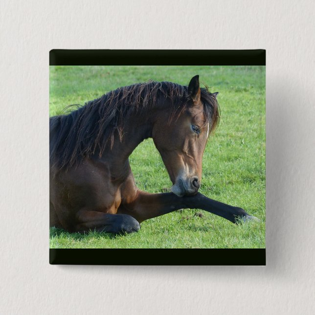 Badge Carré 5 Cm Joli Cheval Brown allongé dans l'herbe (Devant)