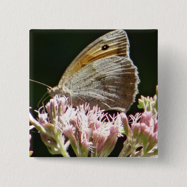 Badge Carré 5 Cm Joli gros papillon (Devant)