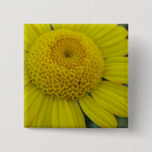 Badge Carré 5 Cm Jolie marguérite jaune