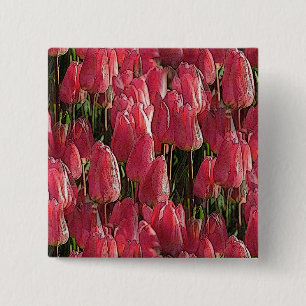 Badge Carré 5 Cm Jolie tulipe rose